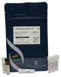 CelGREEN Universal qPCR mix (2x)