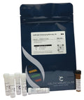CelProbe Universal qPCR mix (2x)